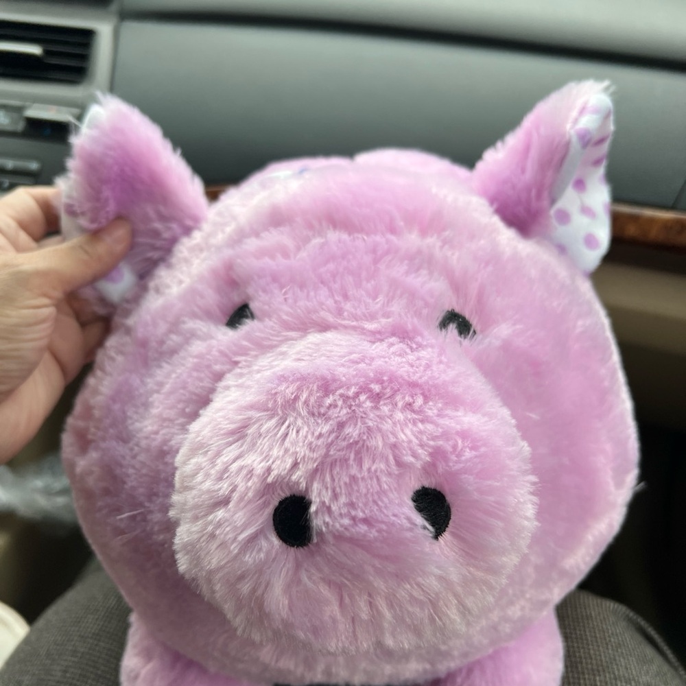 Fab NY Large Plush Piggy Bank Coin 🔥 Hot Purple 🔥 Pig Money Stuffed Animal EUC